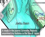 Scientists have discovered microhabitats inside tiny bubbles in “flammable ice” in the Sea of Japan. They say with a little heat and ice, frigid cold planets at the edge of planetary systems could also have microbes building their own tiny ecosystems.
