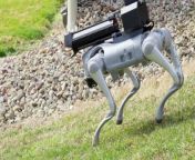 A company have unveiled a robot dog companion - with flamethrower attached.&#60;br/&#62;&#60;br/&#62;The Thermonator is able to avoid obstacles and leap through the air. It&#39;s advertised to be used for wildfire control and prevention, entertainment shows or even clearing snow and ice from your driveway.