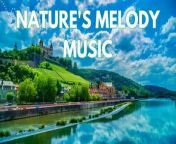Beautiful Relaxing Music For Sleep, Work, Study, Meditation, Stress Relief Music Soothing Relaxation