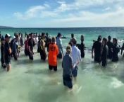 Almost 30 pilot whales have died and more than 100 are being monitored at sea, following a mass stranding event on Western Australia&#39;s southwest coast. Hundreds of people joined the rescue effort at Toby Inlet near the tourist town of Dunsborough, 240 kilometres southwest of Perth.