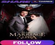 flash marriage with my alpha PART 1 from bur ka codat