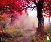 30 MinutesRelaxing Meditation Music • Inspiring Music, Sleepand calm anxiety (Red leaves) @432Hz from nina elle 30 minutes over sex viedo