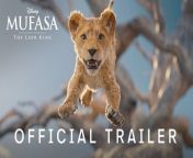 Mufasa: The Lion King &#124; Teaser Trailer&#60;br/&#62;&#60;br/&#62;A lion who would change our lives forever. #Mufasa: The Lion King, in theaters December 20.&#60;br/&#62;&#60;br/&#62;“Mufasa: The Lion King” enlists Rafiki to relay the legend of Mufasa to young lion cub Kiara, daughter of Simba and Nala, with Timon and Pumbaa lending their signature schtick. Told in flashbacks, the story introduces Mufasa as an orphaned cub, lost and alone until he meets a sympathetic lion named Taka—the heir to a royal bloodline. The chance meeting sets in motion an expansive journey of an extraordinary group of misfits searching for their destiny—their bonds will be tested as they work together to evade a threatening and deadly foe.&#60;br/&#62; &#60;br/&#62;New and returning cast members were called on to lend their voices to the film:&#60;br/&#62;- Aaron Pierre as Mufasa&#60;br/&#62;- Kelvin Harrison Jr. as Taka, a lion prince with a bright future who accepts Mufasa into his family as a brother&#60;br/&#62;- Tiffany Boone as Sarabi&#60;br/&#62;- Kagiso Lediga as Young Rafiki&#60;br/&#62;- Preston Nyman as Zazu&#60;br/&#62;- Mads Mikkelsen as Kiros, a formidable lion with big plans for his pride &#60;br/&#62;- Thandiwe Newton as Taka’s mother, Eshe&#60;br/&#62;- Lennie James as Taka’s father, Obasi &#60;br/&#62;- Anika Noni Rose as Mufasa’s mother, Afia&#60;br/&#62;- Keith David as Mufasa’s father, Masego&#60;br/&#62;- John Kani as Rafiki&#60;br/&#62;- Seth Rogen as Pumbaa&#60;br/&#62;- Billy Eichner as Timon&#60;br/&#62;- Donald Glover as Simba&#60;br/&#62;- Introducing Blue Ivy Carter as Kiara, daughter of King Simba and Queen Nala&#60;br/&#62;- And Beyoncé Knowles-Carter as Nala&#60;br/&#62; &#60;br/&#62;Additional casting includes Braelyn Rankins, Theo Somolu, Folake Olowofoyeku, Joanna Jones, Thuso Mbedu, Sheila Atim, Abdul Salis and Dominique Jennings.&#60;br/&#62;&#60;br/&#62;“Mufasa: The Lion King,” the new film coming to theaters Dec. 20 explores the unlikely rise of the beloved king of the Pride Lands. The film has an all-star roster of talent bringing new and fan-favorite characters to life—plus, celebrated award-winning songwriter Lin-Manuel Miranda is writing the film’s songs produced by Mark Mancina and Miranda, with additional music and performances by Lebo M. &#60;br/&#62; &#60;br/&#62;Said Miranda, “Elton John. Tim Rice. Hans Zimmer. Lebo M. Mark Mancina. Beyoncé, Labrinth, Ilya Salmanzadeh. Beau Black, Ford Riley, the incredible music team on ‘The Lion Guard,’ and so many musical contributors over the years. ‘The Lion King’ has an incredible musical legacy with music from some of the greatest songwriters around, and I&#39;m humbled and proud to be a part of it. It&#39;s been a joy working alongside Barry Jenkins to bring Mufasa&#39;s story to life, and we can&#39;t wait for audiences to experience this film in theaters.&#92;
