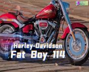 7 best Harley Davidson motorcycles in 2024. Top 7 Harley Davidson bikes in 2024. Harley Davidson 2024 lineup. 2024 Harley Davidson Hydra Glide Revival