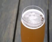 Scientists at Wye Hops and the University of Kent have been awarded more than a million pounds worth of funding to develop a so-called &#39;super-hop&#39;, a genetically engineered crop with the ability to resist changes to the environment.&#60;br/&#62;