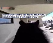 Caught on camera: A gripping scene unfolded on the streets of New Mexico as mounted police corralled a 30-year-old man suspected of shoplifting&#60;br/&#62;&#60;br/&#62;The dramatic pursuit, similar to a Wild West movie, culminated in the man&#39;s arrest for shoplifting, evading #police, and possession of drug paraphernalia.&#60;br/&#62;&#60;br/&#62;#Chase #Arrest #WildWest #Horse #NewMexico #Thief #Crime #Gotcha