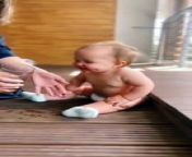 Wonderful baby #vital# kids# wonderful # funny #video baby # cuteness baby