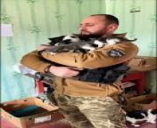 Video of the day! Cats of the Armed Forces of Ukraine
