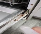 UK Airbnb customers are paying heavy prices to sleep at this disgusting Airbnb. Fithly sludge &amp; grime found in dishwasher at popular UK Airbnb. &#60;br/&#62;&#60;br/&#62;Also check out the filthy dirty mattress found at the same property. &#60;br/&#62;https://dai.ly/k5u7dFNHvMaSKiAnGqK